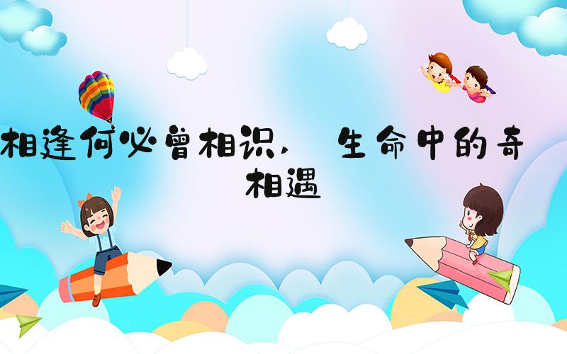 相逢何必曾相识  生命中的奇妙相遇 